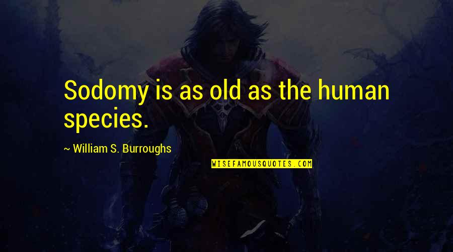 The Human Species Quotes By William S. Burroughs: Sodomy is as old as the human species.