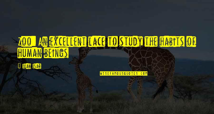 The Human Zoo Quotes By Evan Esar: Zoo: An excellent lace to study the habits