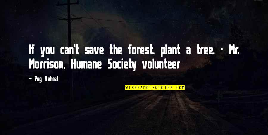 The Humane Society Quotes By Peg Kehret: If you can't save the forest, plant a