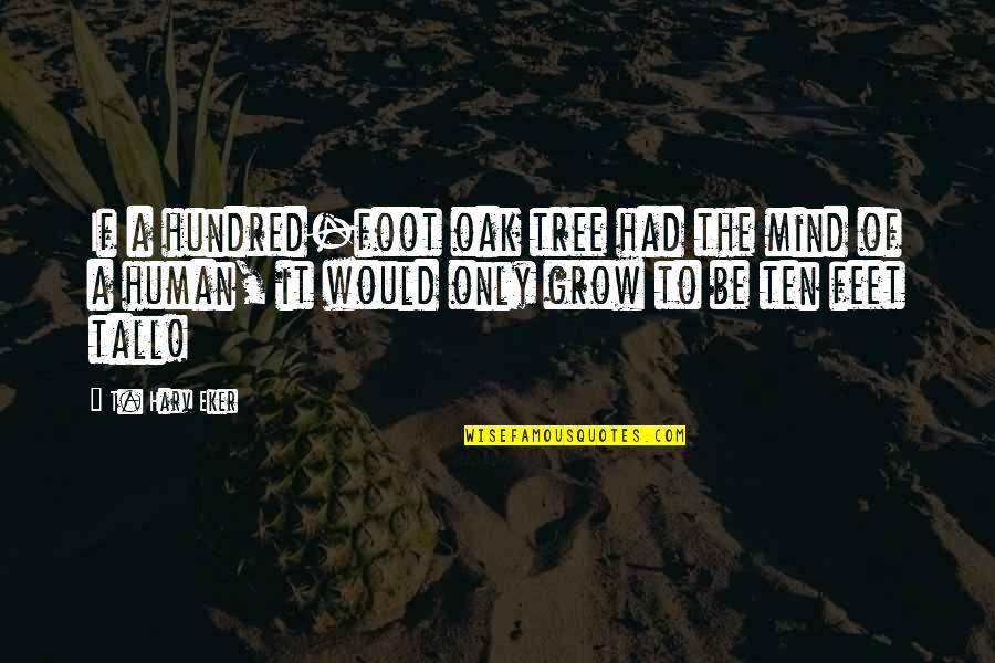 The Hundred Quotes By T. Harv Eker: If a hundred-foot oak tree had the mind The Hundred Quotes By T. Harv Eker: If a hundred-foot oak tree had the mind