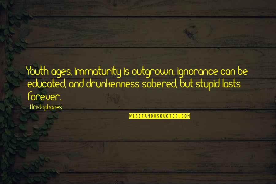 The Ignorance Of Youth Quotes By Aristophanes: Youth ages, immaturity is outgrown, ignorance can be