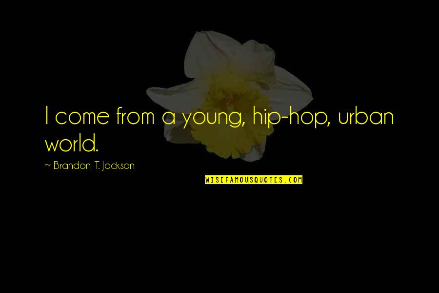 The Ignorance Of Youth Quotes By Brandon T. Jackson: I come from a young, hip-hop, urban world.