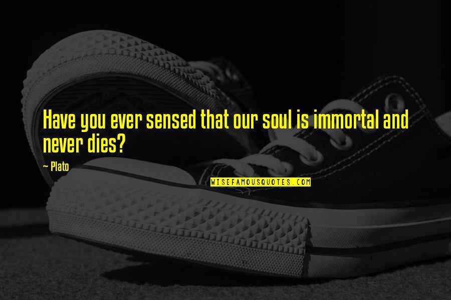 The Immortality Of The Soul Quotes By Plato: Have you ever sensed that our soul is