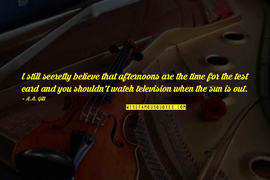 The Importance Of Letter Writing Quotes By A.A. Gill: I still secretly believe that afternoons are the