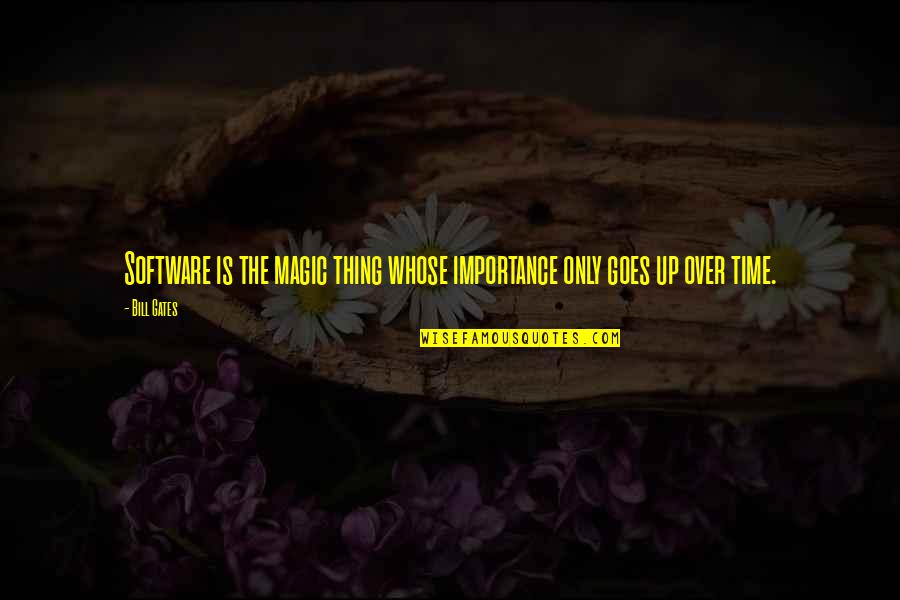The Importance Of Time Quotes By Bill Gates: Software is the magic thing whose importance only