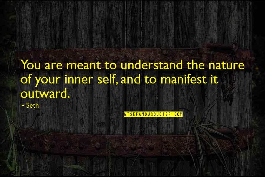 The Inner Self Quotes By Seth: You are meant to understand the nature of