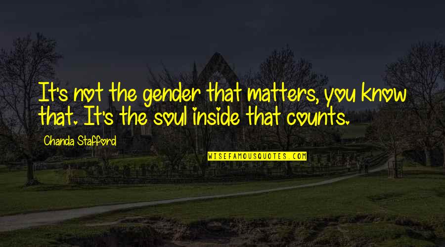 The Inside Counts Quotes By Chanda Stafford: It's not the gender that matters, you know