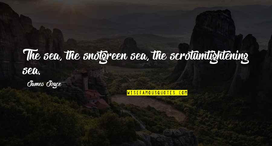 The Irish Quotes By James Joyce: The sea, the snotgreen sea, the scrotumtightening sea.