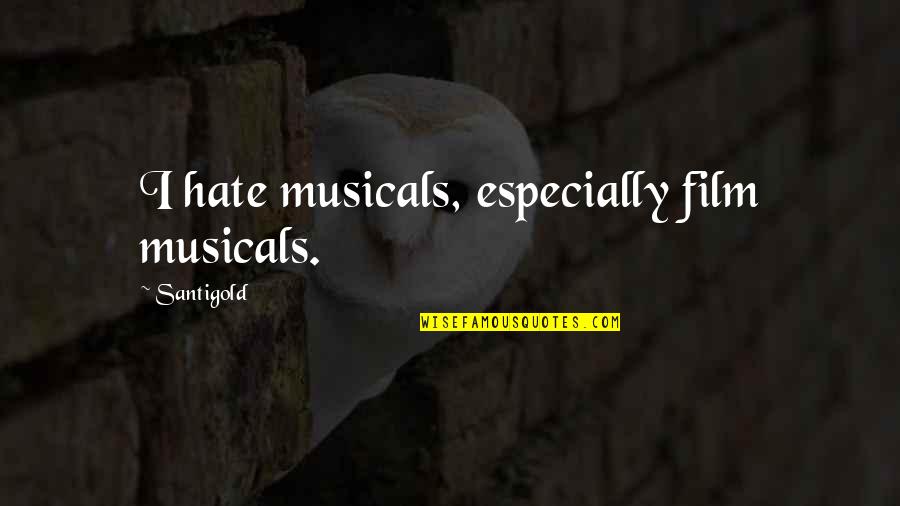 The Irish Sea Quotes By Santigold: I hate musicals, especially film musicals.