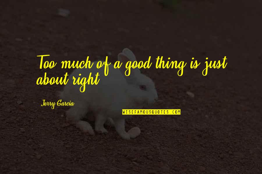 The Iron Knight Quotes By Jerry Garcia: Too much of a good thing is just The Iron Knight Quotes By Jerry Garcia: Too much of a good thing is just