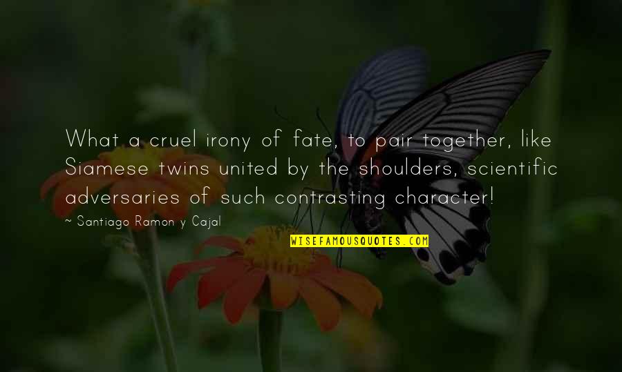 The Irony Quotes By Santiago Ramon Y Cajal: What a cruel irony of fate, to pair
