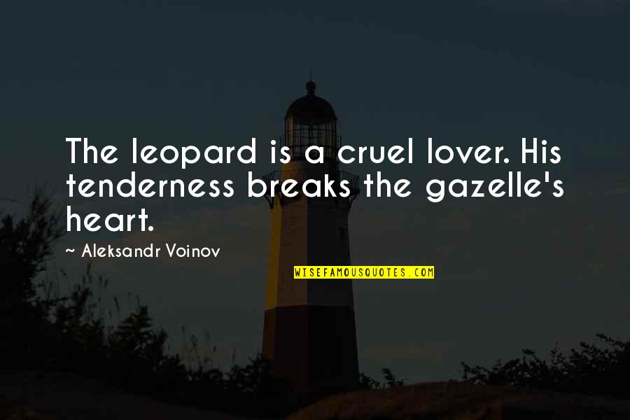The Is Cruel Quotes By Aleksandr Voinov: The leopard is a cruel lover. His tenderness