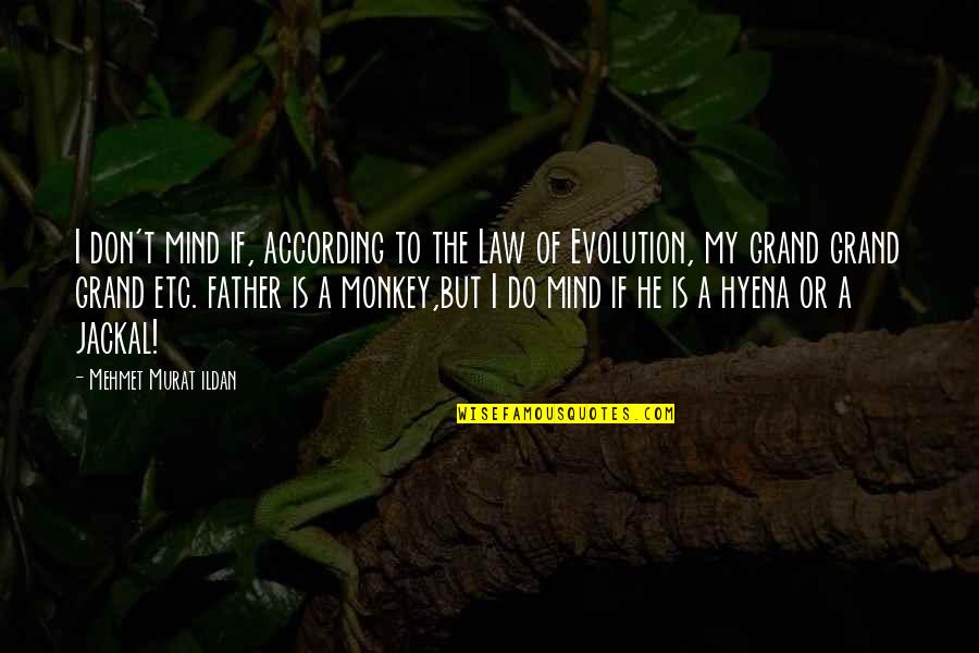 The Jackal Quotes By Mehmet Murat Ildan: I don't mind if, according to the Law The Jackal Quotes By Mehmet Murat Ildan: I don't mind if, according to the Law