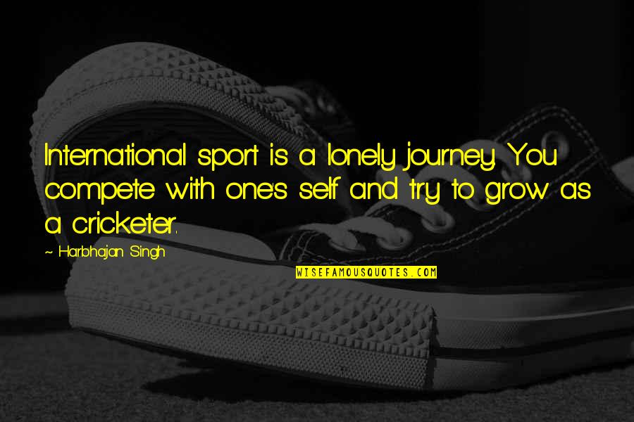 The Journey In Sports Quotes By Harbhajan Singh: International sport is a lonely journey. You compete