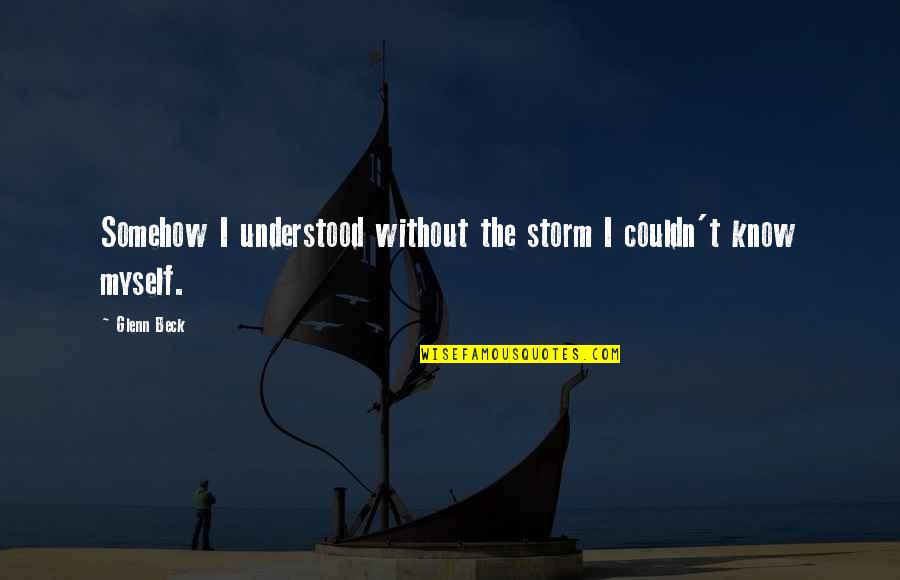 The Journey Of Friendship Quotes By Glenn Beck: Somehow I understood without the storm I couldn't