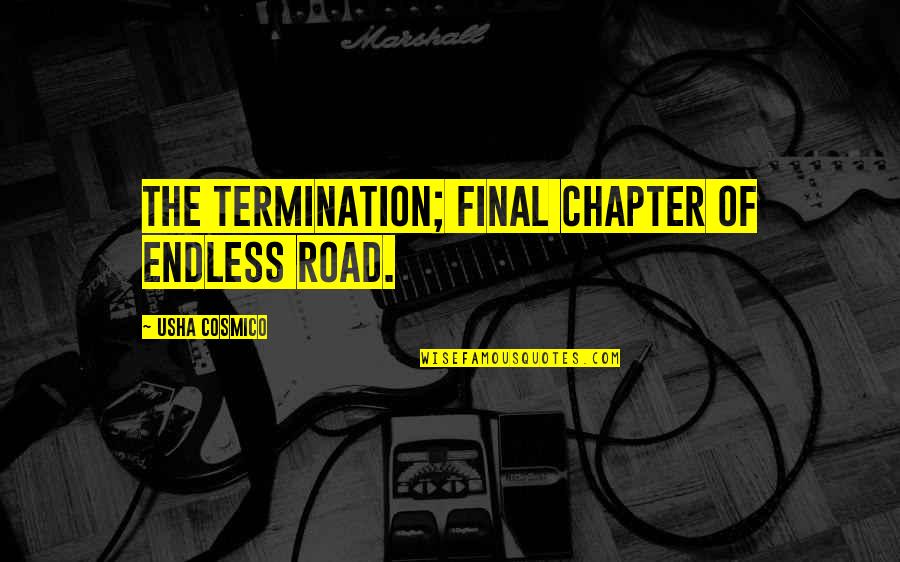 The Journey Of Life Quotes By Usha Cosmico: The termination; final chapter of endless road.