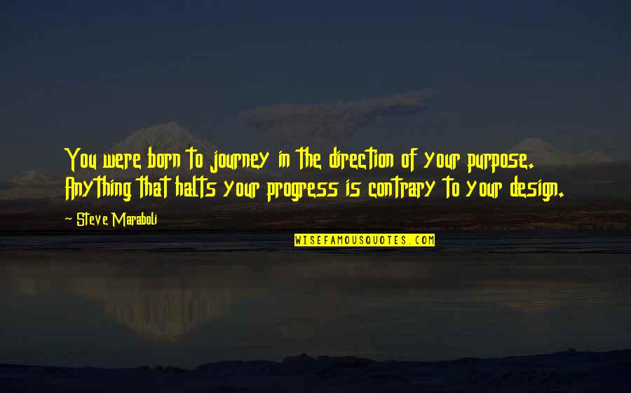 The Journey To Happiness Quotes By Steve Maraboli: You were born to journey in the direction