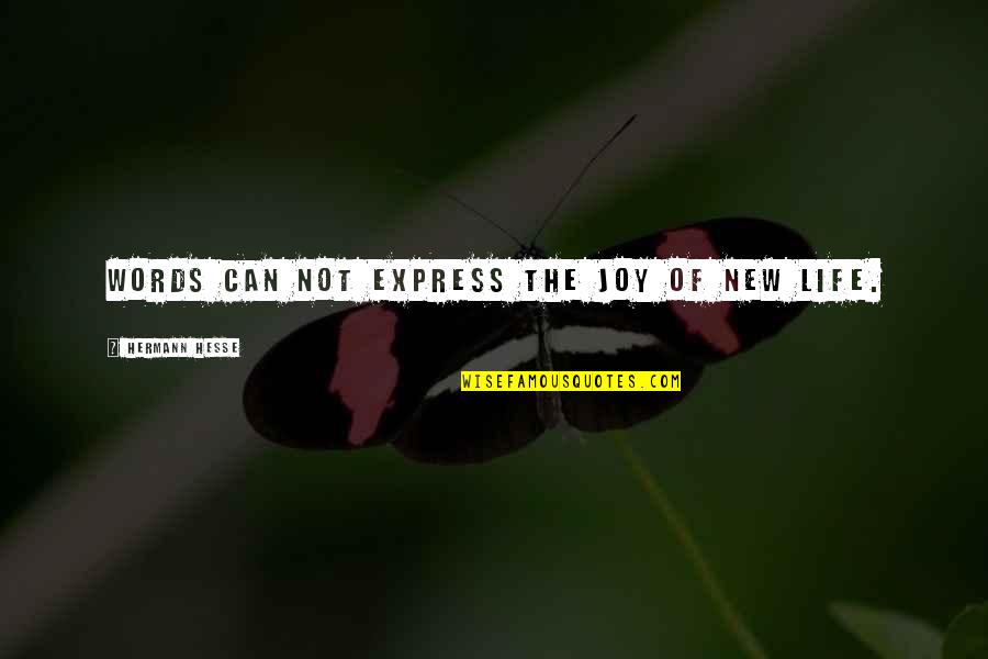 The Joy Of A Baby Quotes By Hermann Hesse: Words can not express the joy of new The Joy Of A Baby Quotes By Hermann Hesse: Words can not express the joy of new