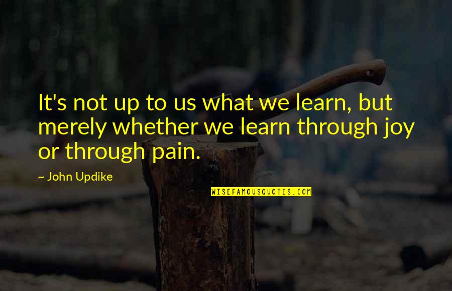 The Joy Of Learning Quotes By John Updike: It's not up to us what we learn,