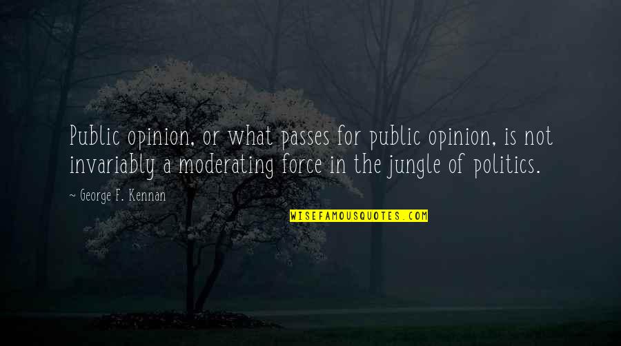 The Jungle Quotes By George F. Kennan: Public opinion, or what passes for public opinion,