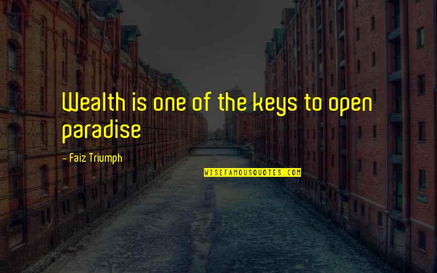 The Kind Of Man I Want Quotes By Faiz Triumph: Wealth is one of the keys to open