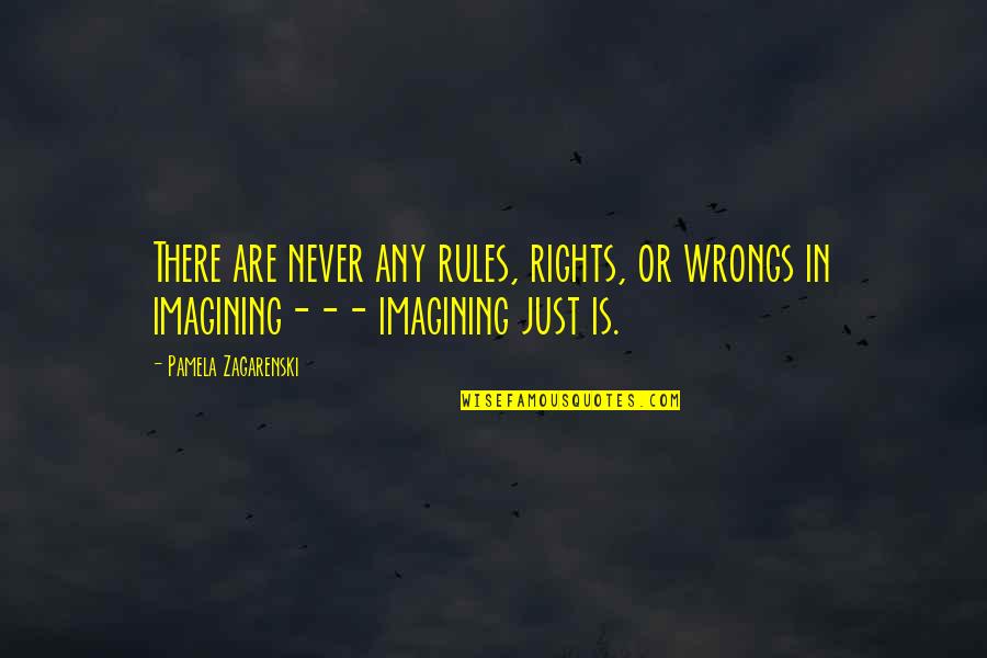 The King In Chess Quotes By Pamela Zagarenski: There are never any rules, rights, or wrongs