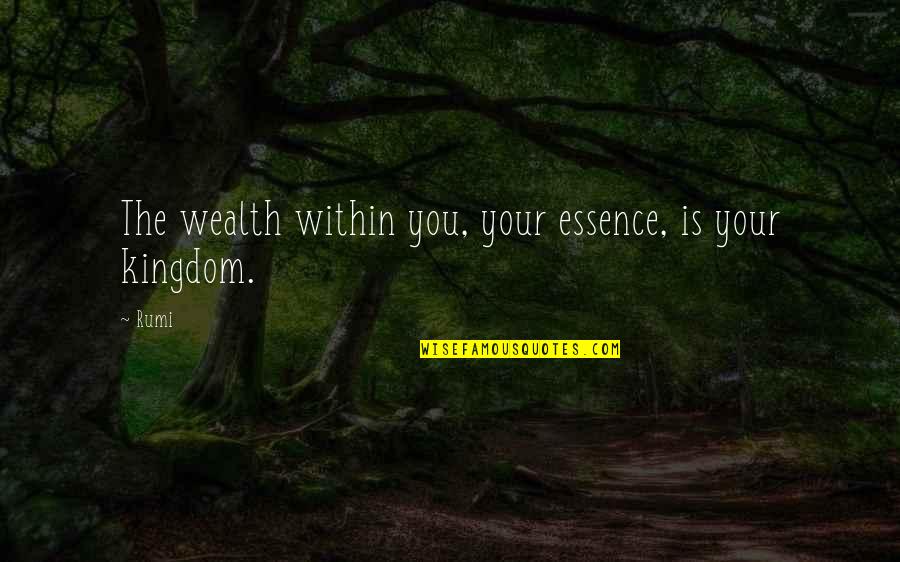 The Kingdom Quotes By Rumi: The wealth within you, your essence, is your