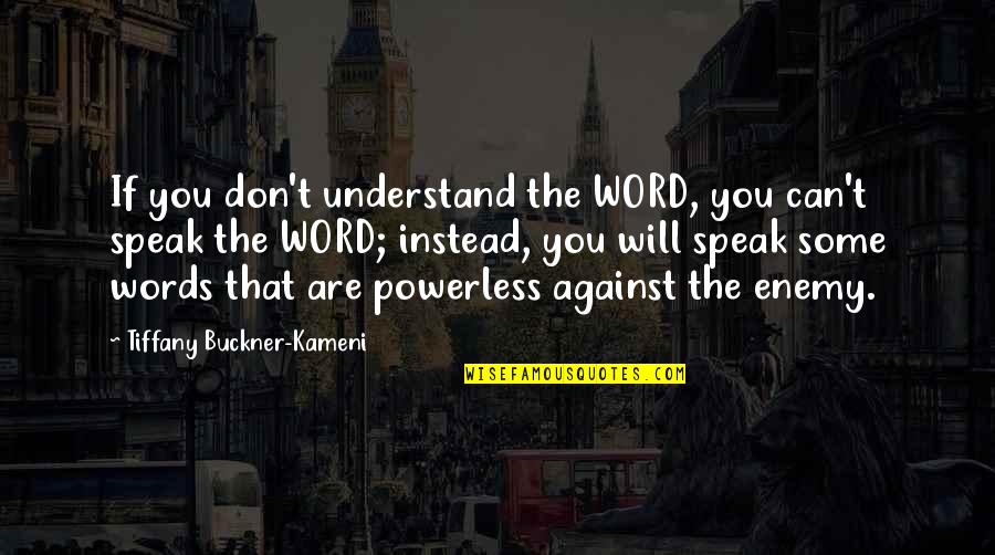 The Kite Runner Amir Coward Quotes By Tiffany Buckner-Kameni: If you don't understand the WORD, you can't