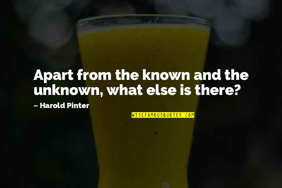 The Known And Unknown Quotes By Harold Pinter: Apart from the known and the unknown, what
