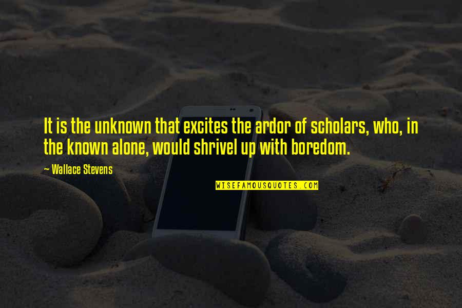 The Known Unknown Quotes By Wallace Stevens: It is the unknown that excites the ardor