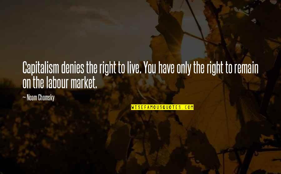 The Labour Market Quotes By Noam Chomsky: Capitalism denies the right to live. You have