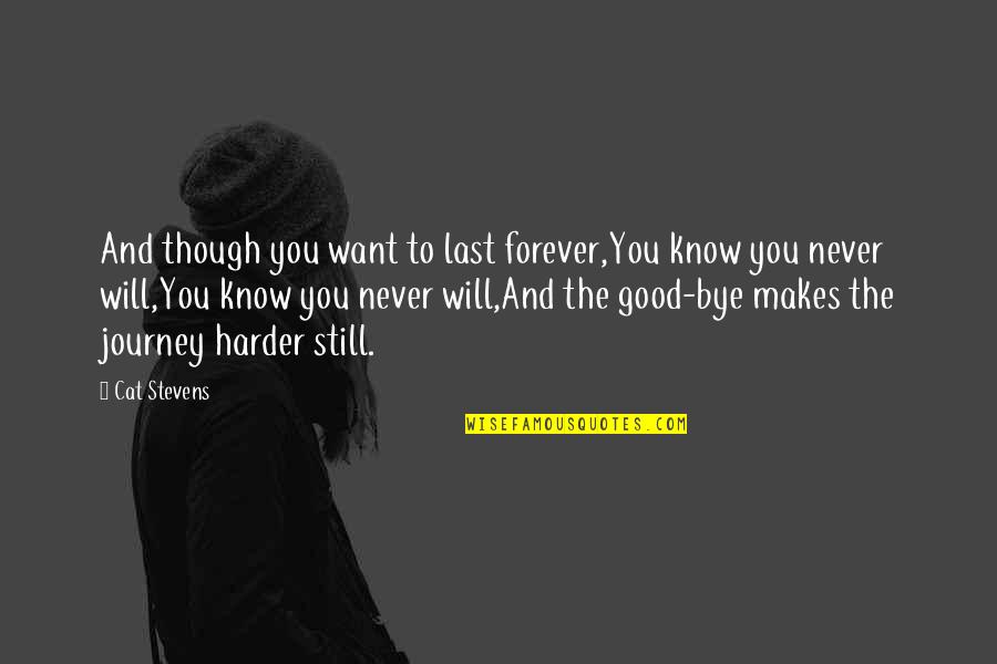 The Last Bye Quotes By Cat Stevens: And though you want to last forever,You know