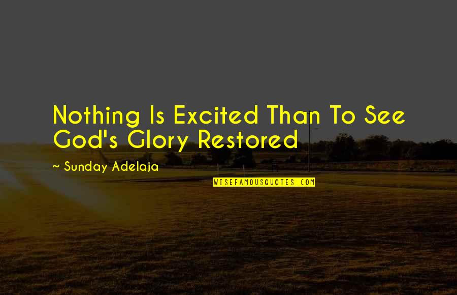 The Laws Of Manu Quotes By Sunday Adelaja: Nothing Is Excited Than To See God's Glory