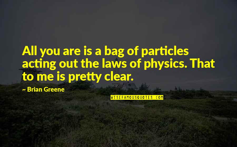 The Laws Of Physics Quotes By Brian Greene: All you are is a bag of particles