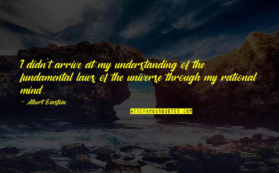 The Laws Of The Universe Quotes By Albert Einstein: I didn't arrive at my understanding of the
