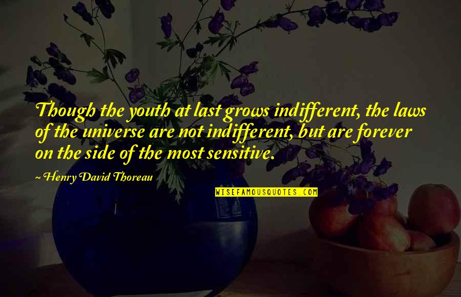 The Laws Of The Universe Quotes By Henry David Thoreau: Though the youth at last grows indifferent, the
