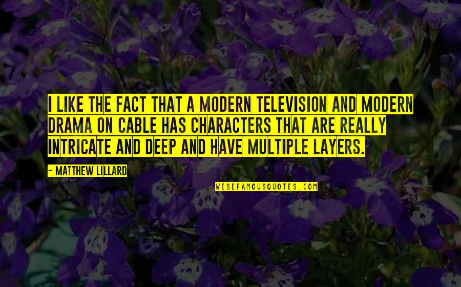 The Layers Quotes By Matthew Lillard: I like the fact that a modern television The Layers Quotes By Matthew Lillard: I like the fact that a modern television