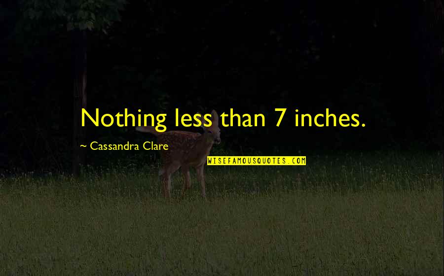 The Less You Talk Quotes By Cassandra Clare: Nothing less than 7 inches.