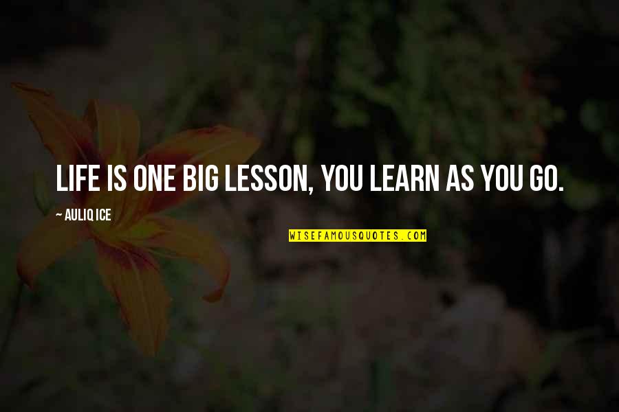 The Lessons Of Failure Quotes By Auliq Ice: Life is one big lesson, you learn as