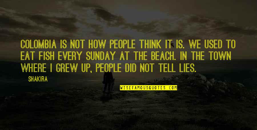 The Lies We Tell Quotes By Shakira: Colombia is not how people think it is. The Lies We Tell Quotes By Shakira: Colombia is not how people think it is.