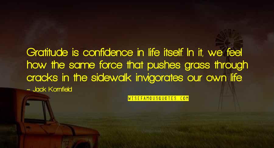 The Life Force Quotes By Jack Kornfield: Gratitude is confidence in life itself. In it, The Life Force Quotes By Jack Kornfield: Gratitude is confidence in life itself. In it,