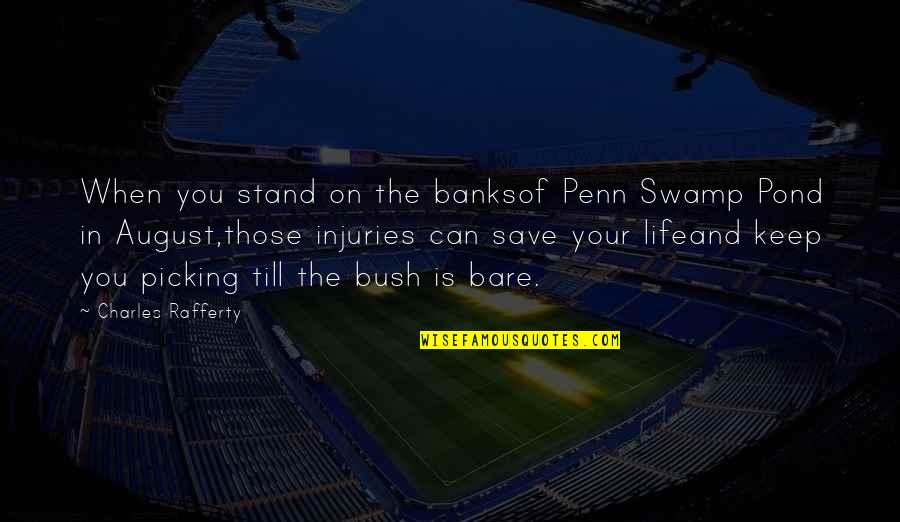 The Life You Save Quotes By Charles Rafferty: When you stand on the banksof Penn Swamp