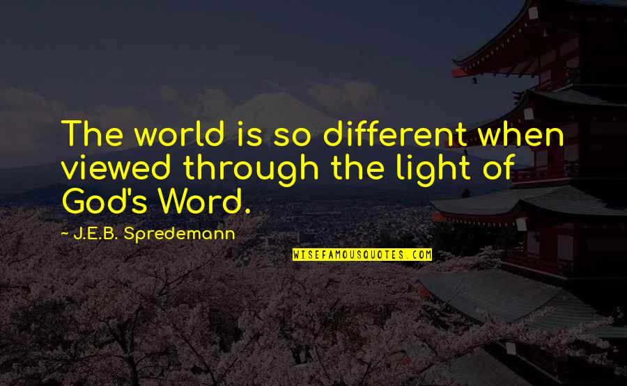 The Light Of The World Quotes By J.E.B. Spredemann: The world is so different when viewed through The Light Of The World Quotes By J.E.B. Spredemann: The world is so different when viewed through