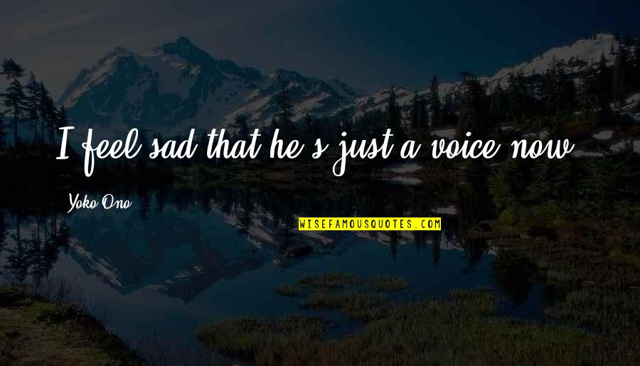 The Lion King 2 Kovu Quotes By Yoko Ono: I feel sad that he's just a voice The Lion King 2 Kovu Quotes By Yoko Ono: I feel sad that he's just a voice