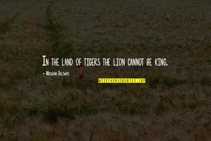 The Lion King Quotes By Matshona Dhliwayo: In the land of tigers the lion cannot