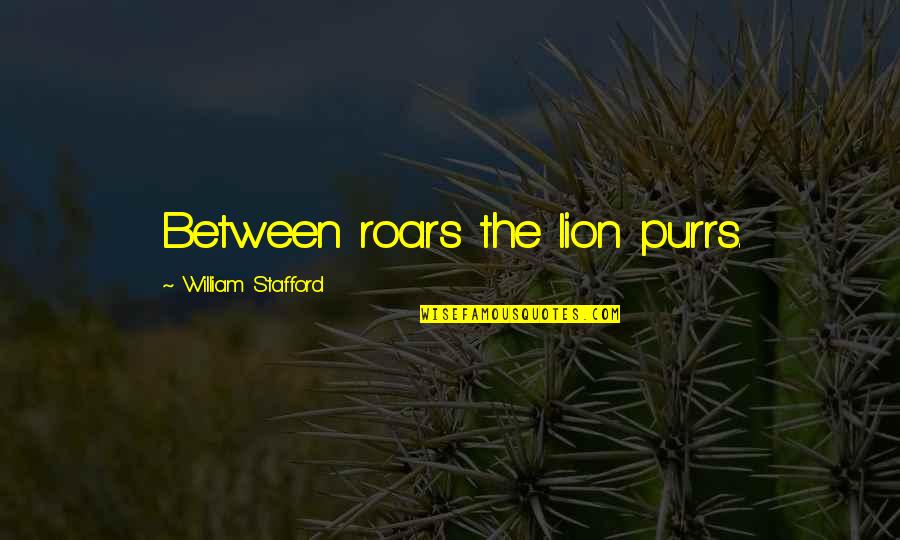 The Lion Quotes By William Stafford: Between roars the lion purrs. The Lion Quotes By William Stafford: Between roars the lion purrs.