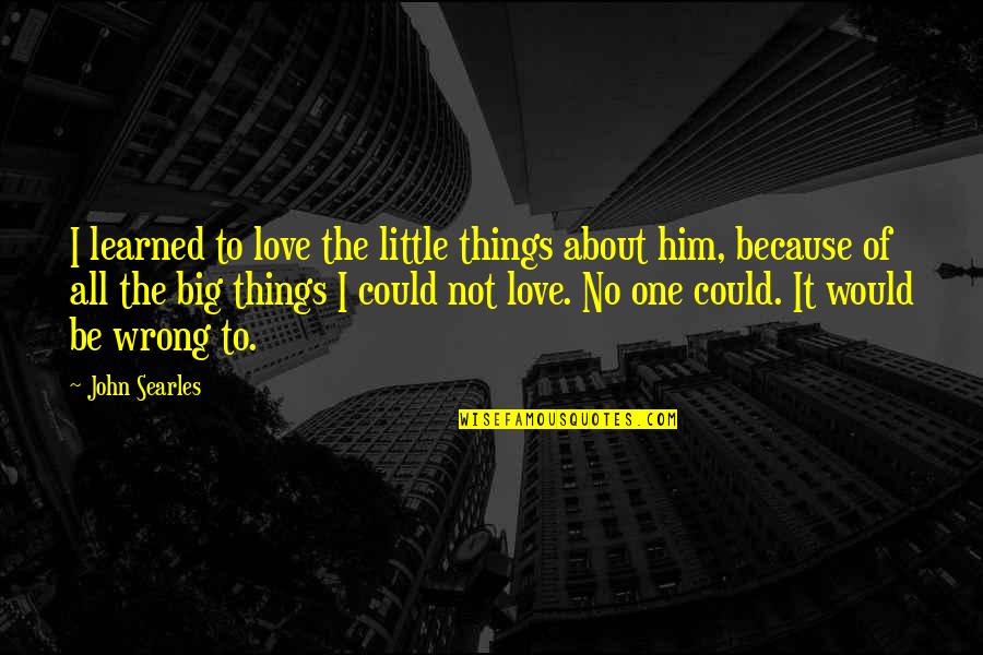 The Little Big Things Quotes By John Searles: I learned to love the little things about