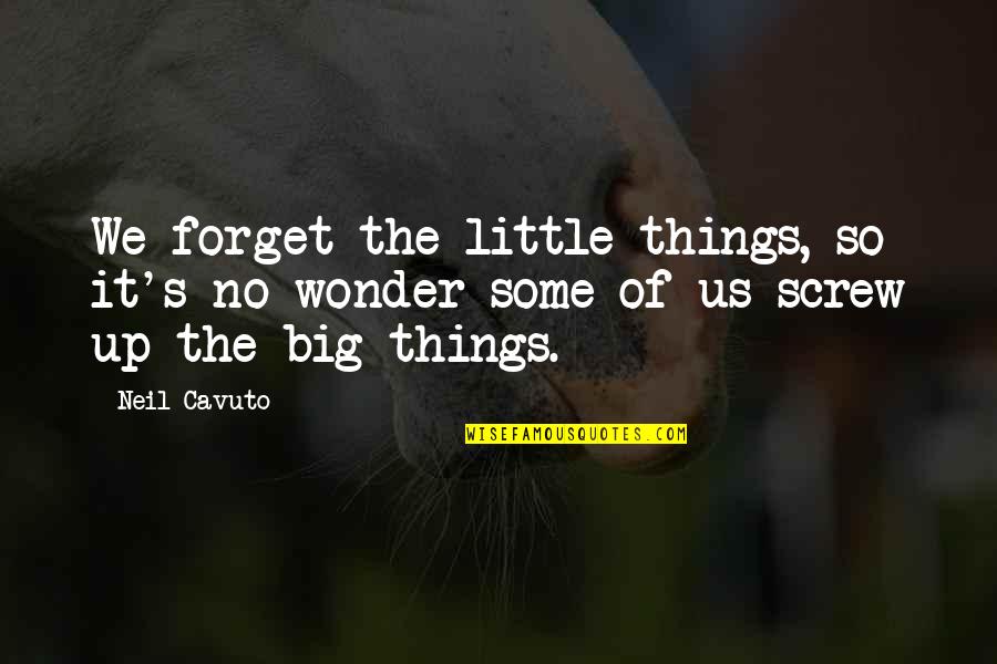 The Little Big Things Quotes By Neil Cavuto: We forget the little things, so it's no