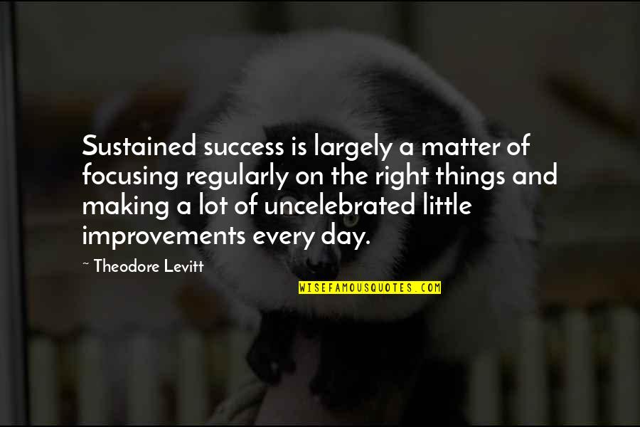The Little Things That Matter Quotes By Theodore Levitt: Sustained success is largely a matter of focusing