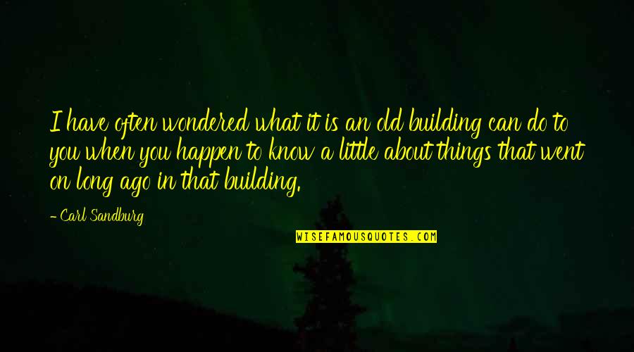 The Little Things You Do Quotes By Carl Sandburg: I have often wondered what it is an